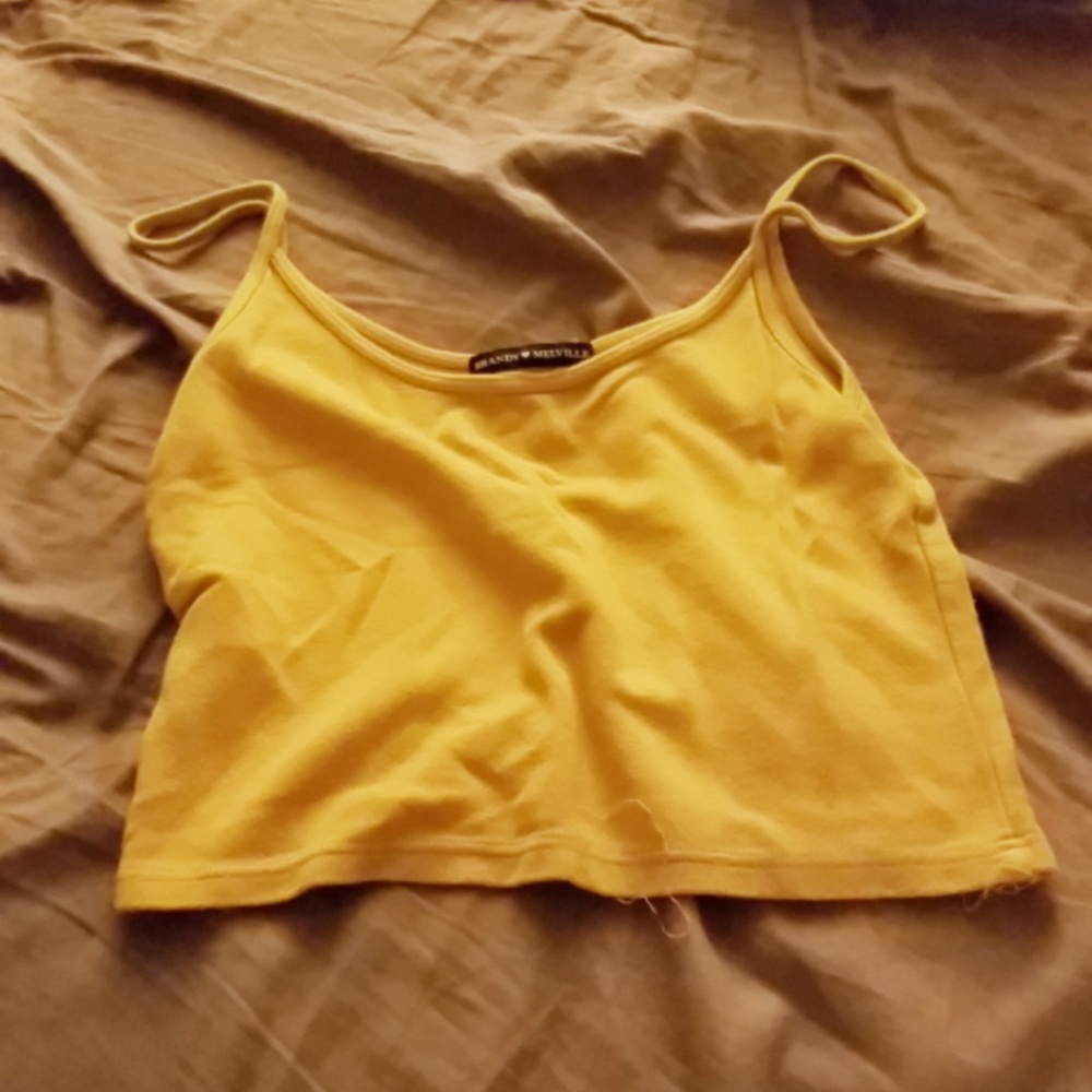 Brandy Melville Crop Top